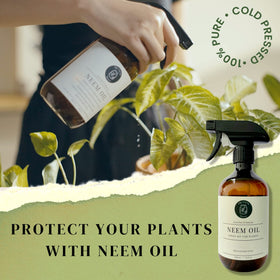 The Green Alcove amber spray bottle adds a sleek aesthetic to plant care.