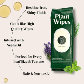 The Green Alcove ready-to-use wipes require no sprays or extra cloths for quick plant care.