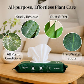 The Green Alcove leaf shine ready wipes deliver instant natural shine on plant leaves.