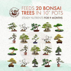 The Grow Co Bonsai Fertilizer pellets around the bonsai base for steady feeding