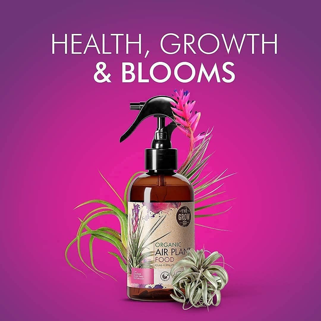 The Grow Co closeup spray on air plant leaf for gentle feeding