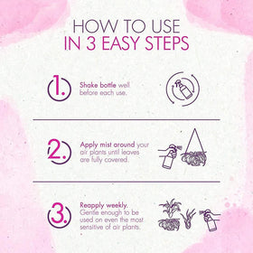 The Grow Co driftwood mounted air plant care spray