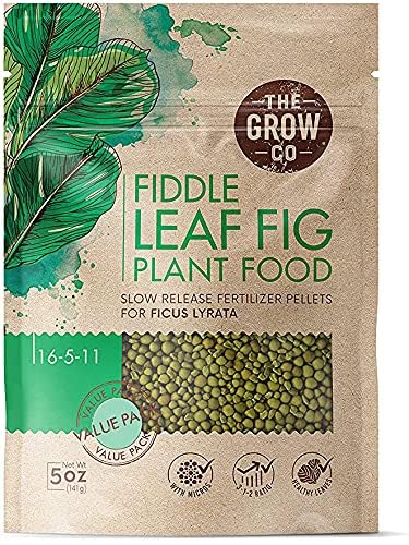 The Grow Co Fiddle Leaf Fig Tree Plant Food bottle for steady nutrient release indoors