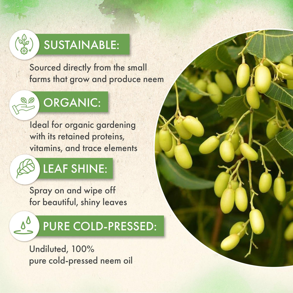 The Grow Co Neem Oil cosmetic use presents a versatile skincare ingredient