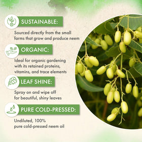 The Grow Co Neem Oil cosmetic use presents a versatile skincare ingredient