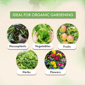 The Grow Co Neem Oil sustainable farming image emphasizes ethical sourcing