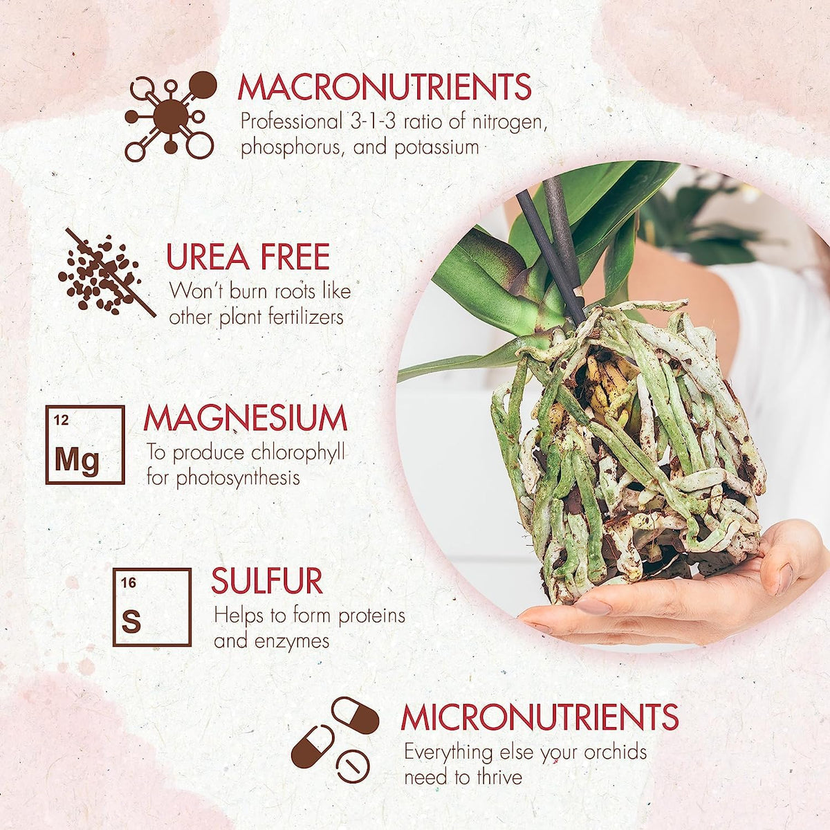 Sprinkling The Grow Co Orchid Food into potting mix supports healthy growth.