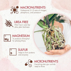 Sprinkling The Grow Co Orchid Food into potting mix supports healthy growth.