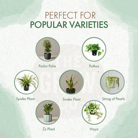 The Grow Co Organic Indoor Plant Food label highlights organic formula and clear usage directions.