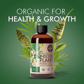 The Grow Co Organic Indoor Plant Food in planters shows easy dilution and even nourishment.