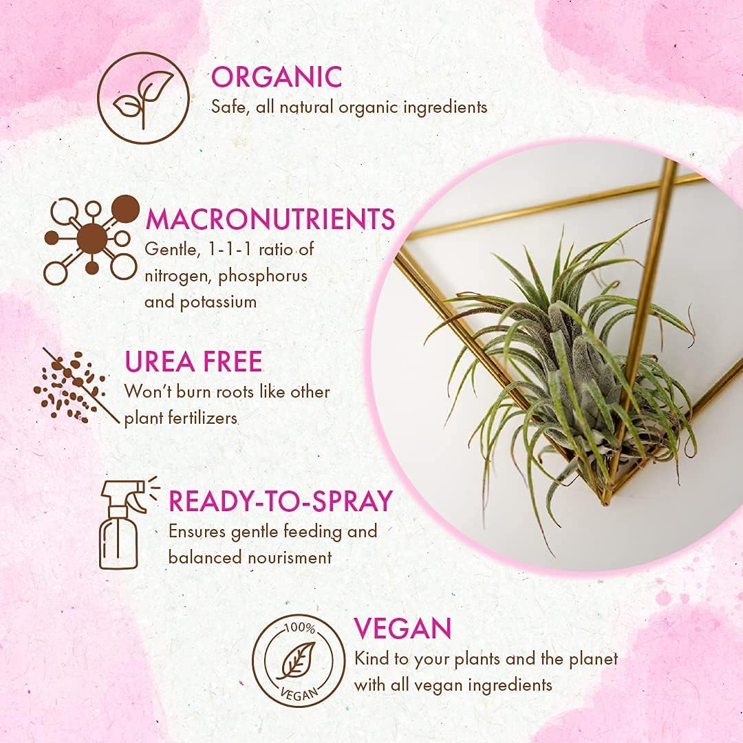 The Grow Co terrarium epiphyte care mist for enclosed displays