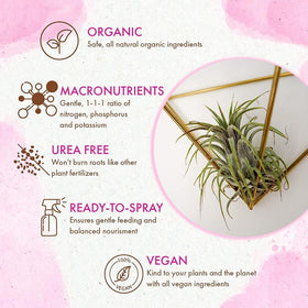 The Grow Co terrarium epiphyte care mist for enclosed displays