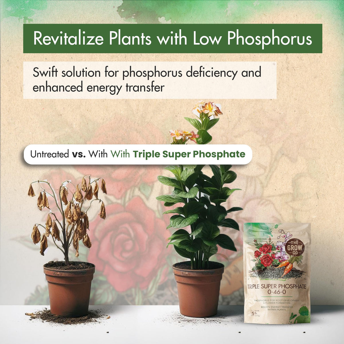 The Grow Co 0-46-0 flower bloom image highlights potential for bigger blooms.