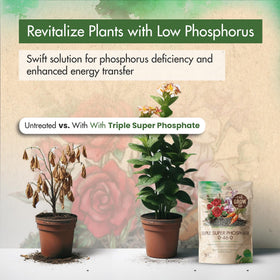 The Grow Co 0-46-0 flower bloom image highlights potential for bigger blooms.