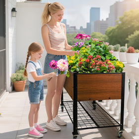 The Home Cult balcony garden shows compact, productive urban growing.