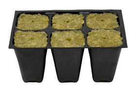 The Hydroponic City seed starter tray stack setup for multiple trays