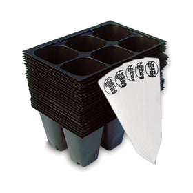 The Hydroponic City seed starter trays with 144 cells support strong seedling starts.