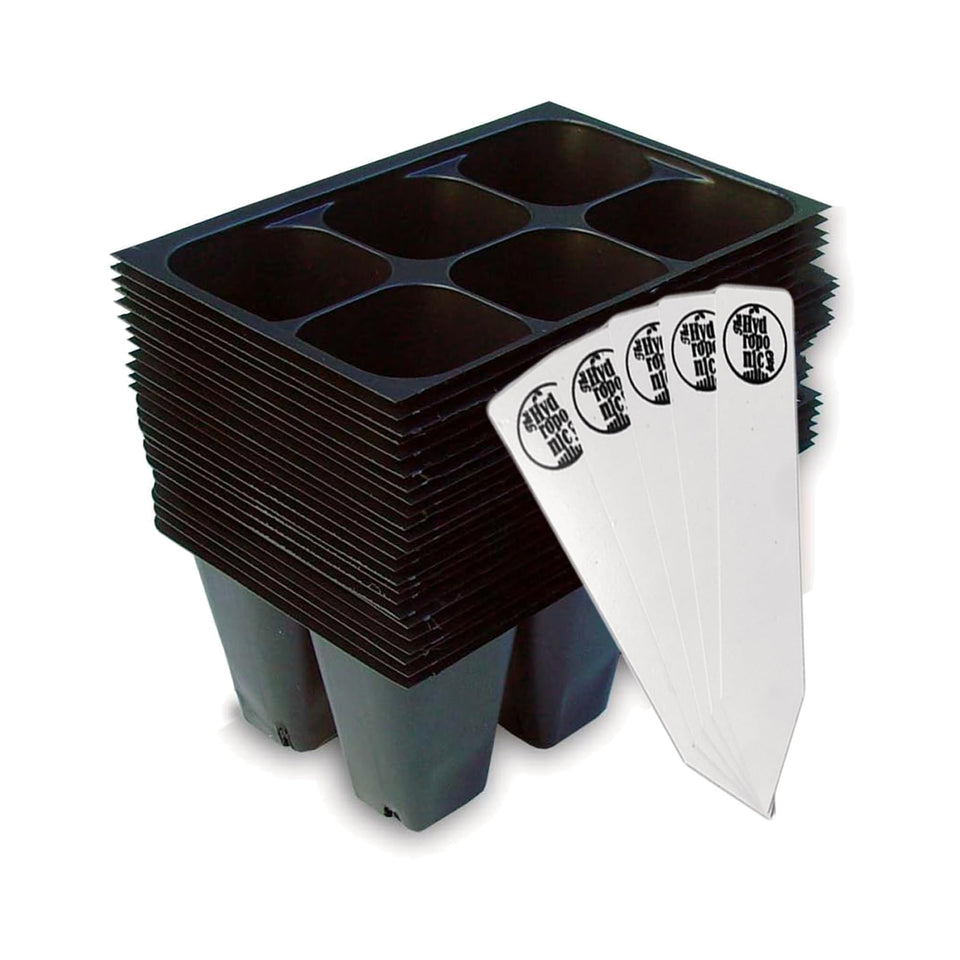 The Hydroponic City seed starter trays with 144 cells support strong seedling starts.