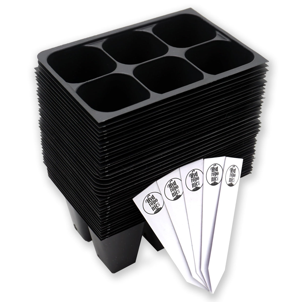 The Hydroponic City 216-cell seed starter trays arranged for organized germination