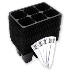 The Hydroponic City 216-cell seed starter trays arranged for organized germination