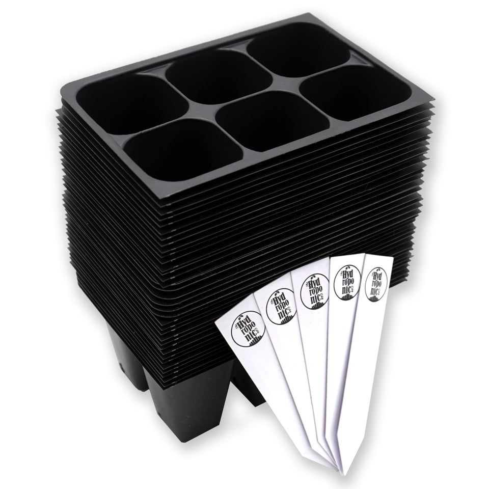 The Hydroponic City 216-cell seed starter trays arranged for organized germination