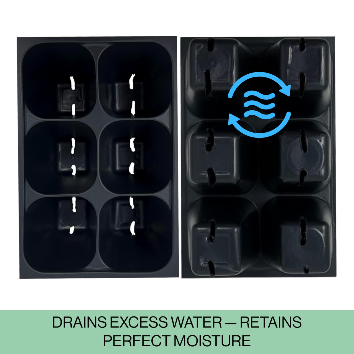 The Hydroponic City trays support seedling growth in a compact setup