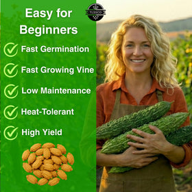 The Lucky Stars 25+ premium seeds ready for planting; non-GMO variety.