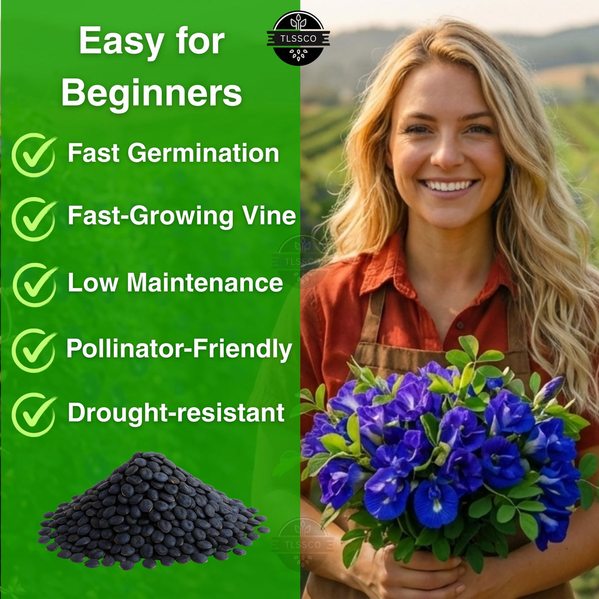 The Lucky Stars butterfly pea vine young growth with sturdy stems