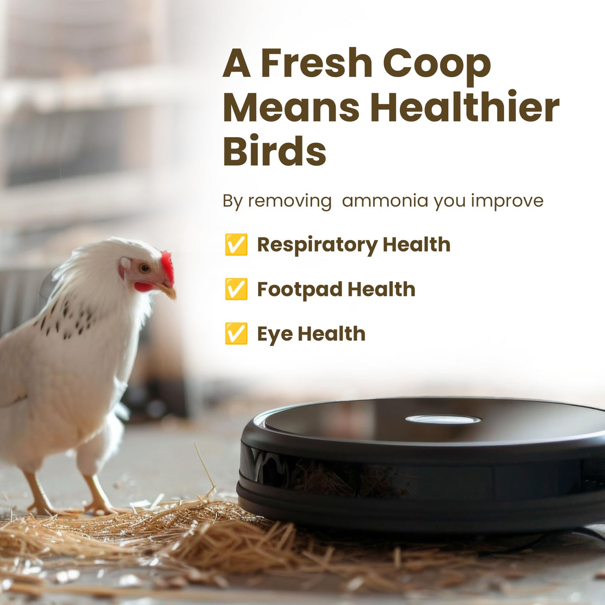 Coop Poop Buster surface clean highlights safe use around feed and water