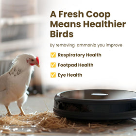 Coop Poop Buster surface clean highlights safe use around feed and water