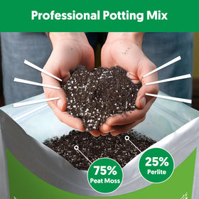 THE NEXT GARDENER fast-drain close-up demonstrates moisture balance for avoid overwatering