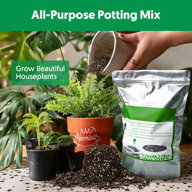 THE NEXT GARDENER indoor-outdoor plants use shows versatile garden success