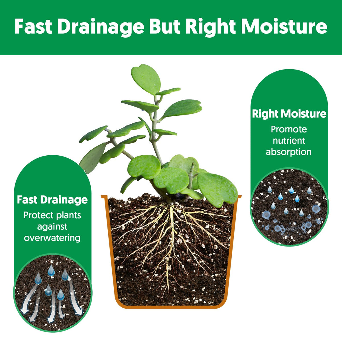 THE NEXT GARDENER resealable-bag storage highlights easy storage and freshness