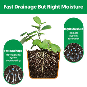 THE NEXT GARDENER resealable-bag storage highlights easy storage and freshness