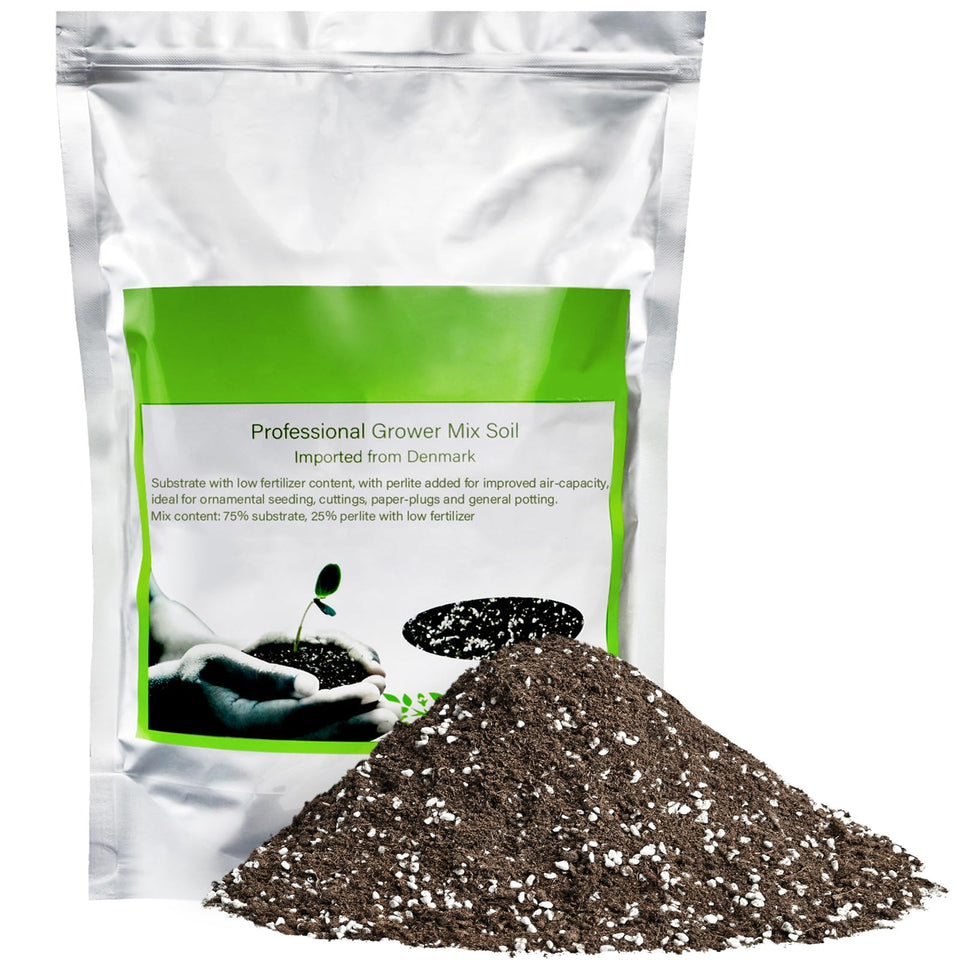 THE NEXT GARDENER succulent cactus potting soil mix 4 qt bag ready-to-use planting close-up