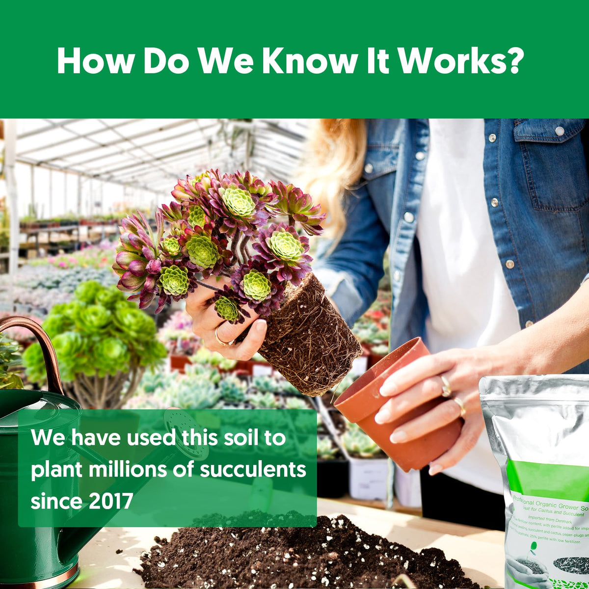 THE NEXT GARDENER succulent-planter ready-to-use soil ideal for repotting indoor plants