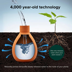 The Olla Company works with inverted bottle for extended irrigation.