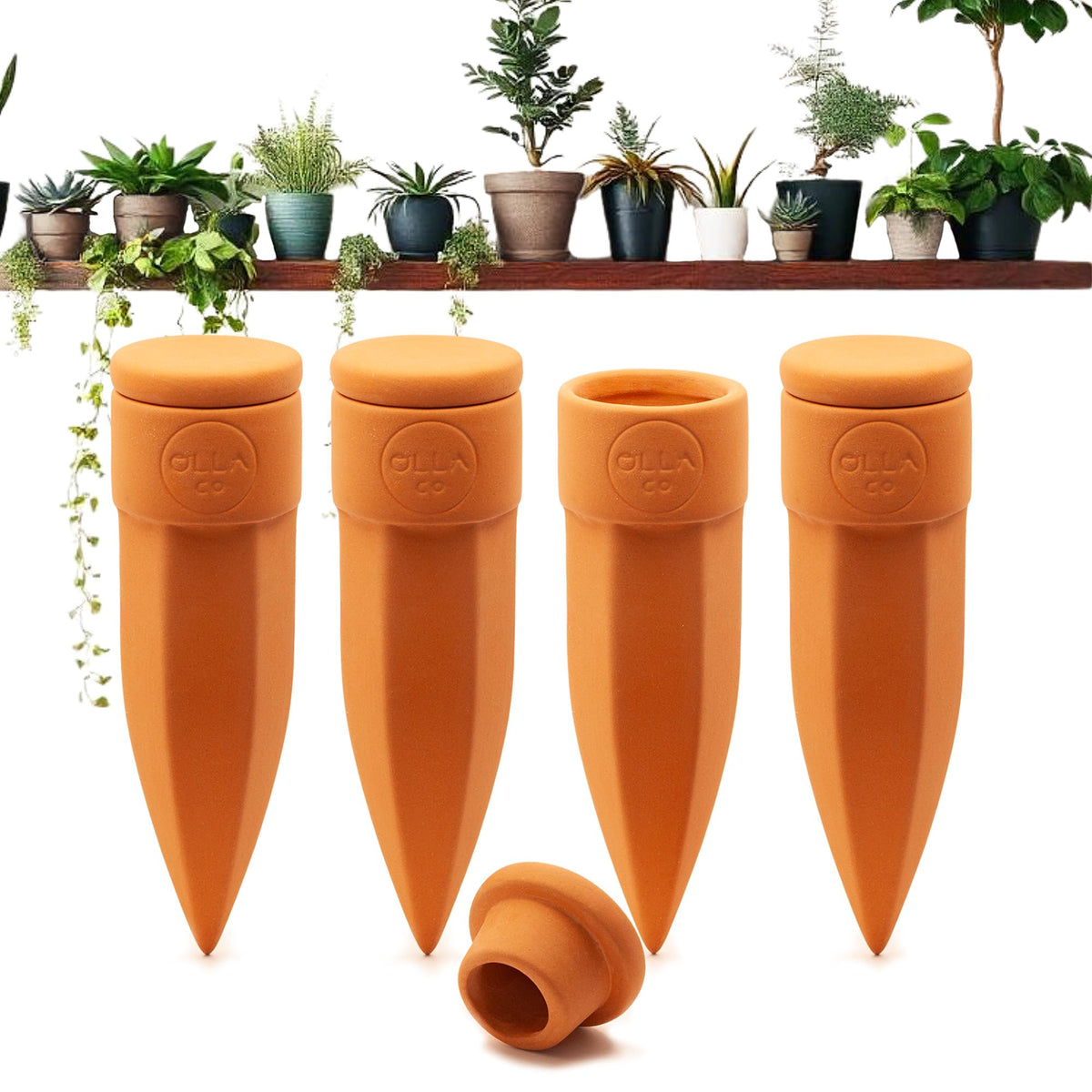 The Olla Company plant watering spikes in soil provide effortless hydration for small pots.