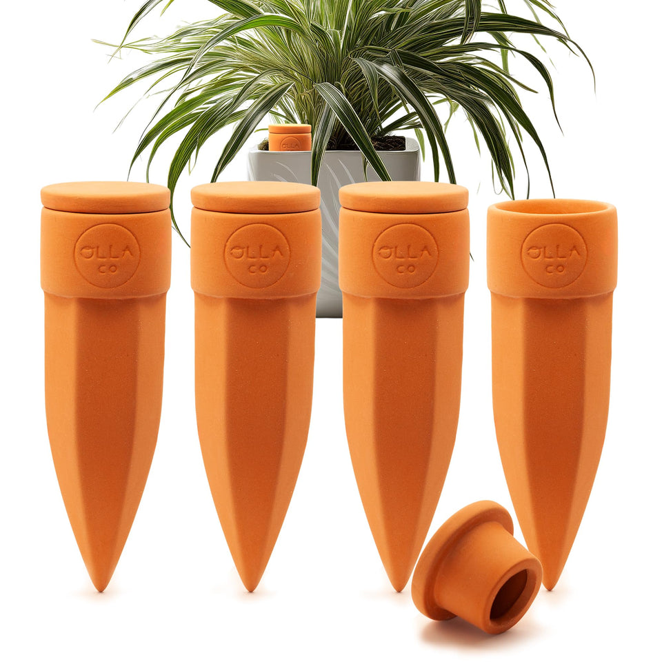 The Olla Company plant watering spikes with lids for medium pots, steady hydration on demand.