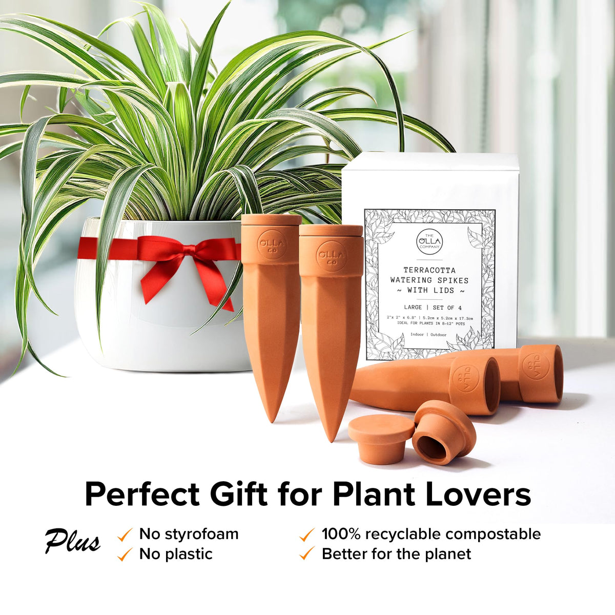 The Olla Company zero-waste packaging highlighting eco-friendly design.