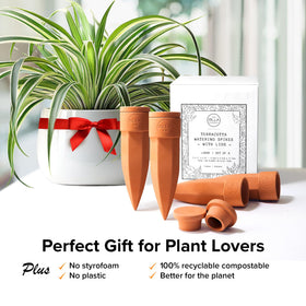 The Olla Company zero-waste packaging highlighting eco-friendly design.