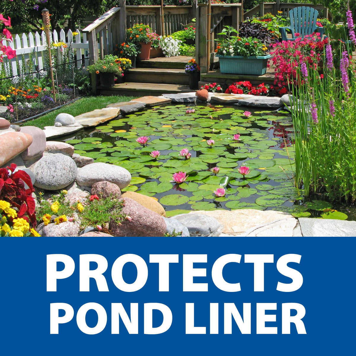 The Pond Guy water lilies ready to plant on water surface.