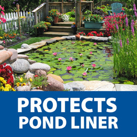 The Pond Guy water lilies ready to plant on water surface.