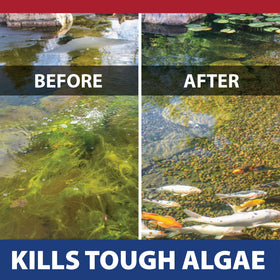 The Pond Guy InstaFix safe formula protecting fish and plants while fighting algae.