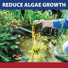 The Pond Guy InstaFix is applied around a pond with a running fountain for algae control.
