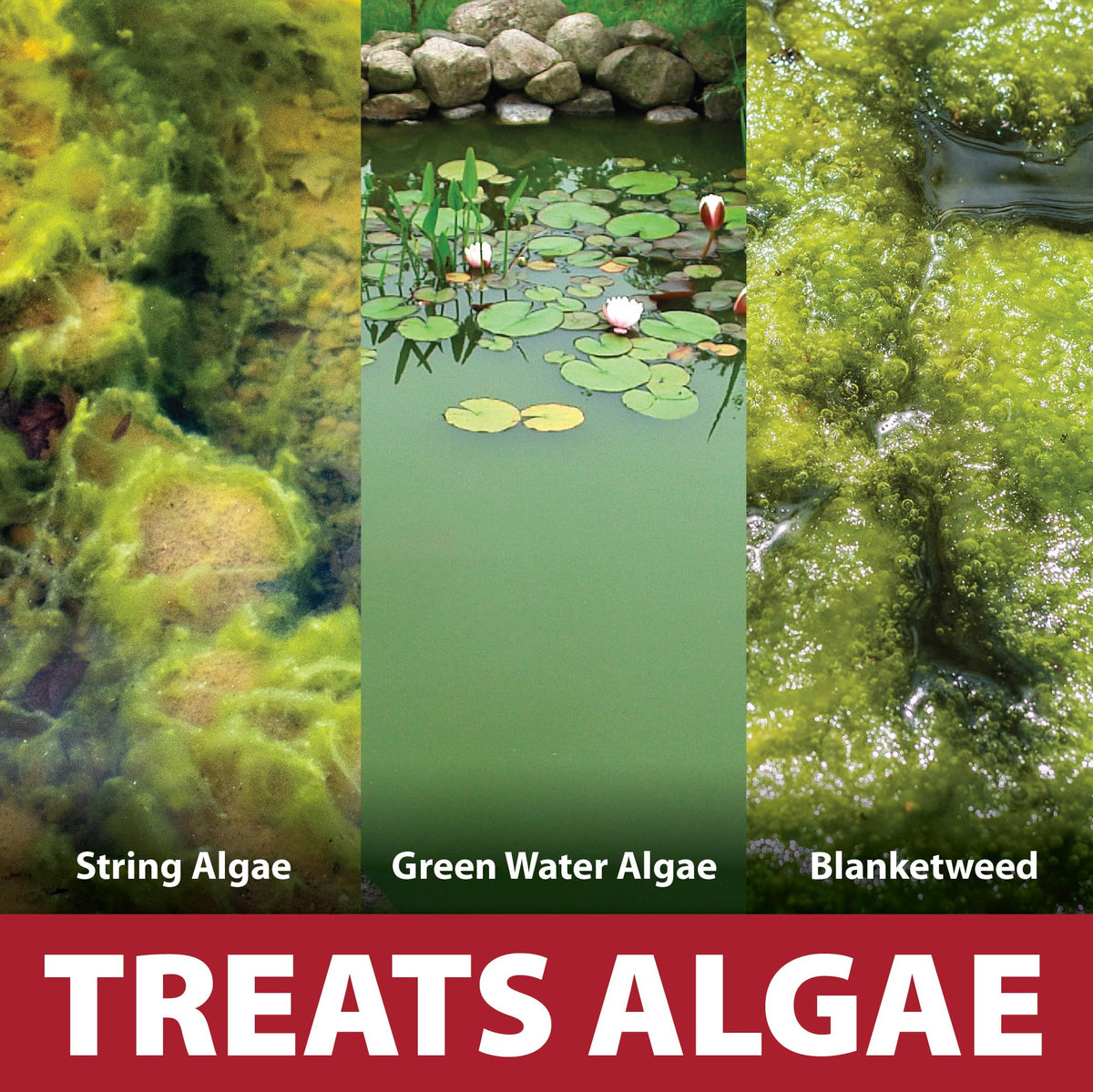 The Pond Guy InstaFix targets string algae in a decorative fountain or water feature.