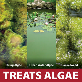 The Pond Guy InstaFix targets string algae in a decorative fountain or water feature.
