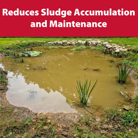 The Pond Guy 24-tablet supply offers convenient, low-effort dosing.