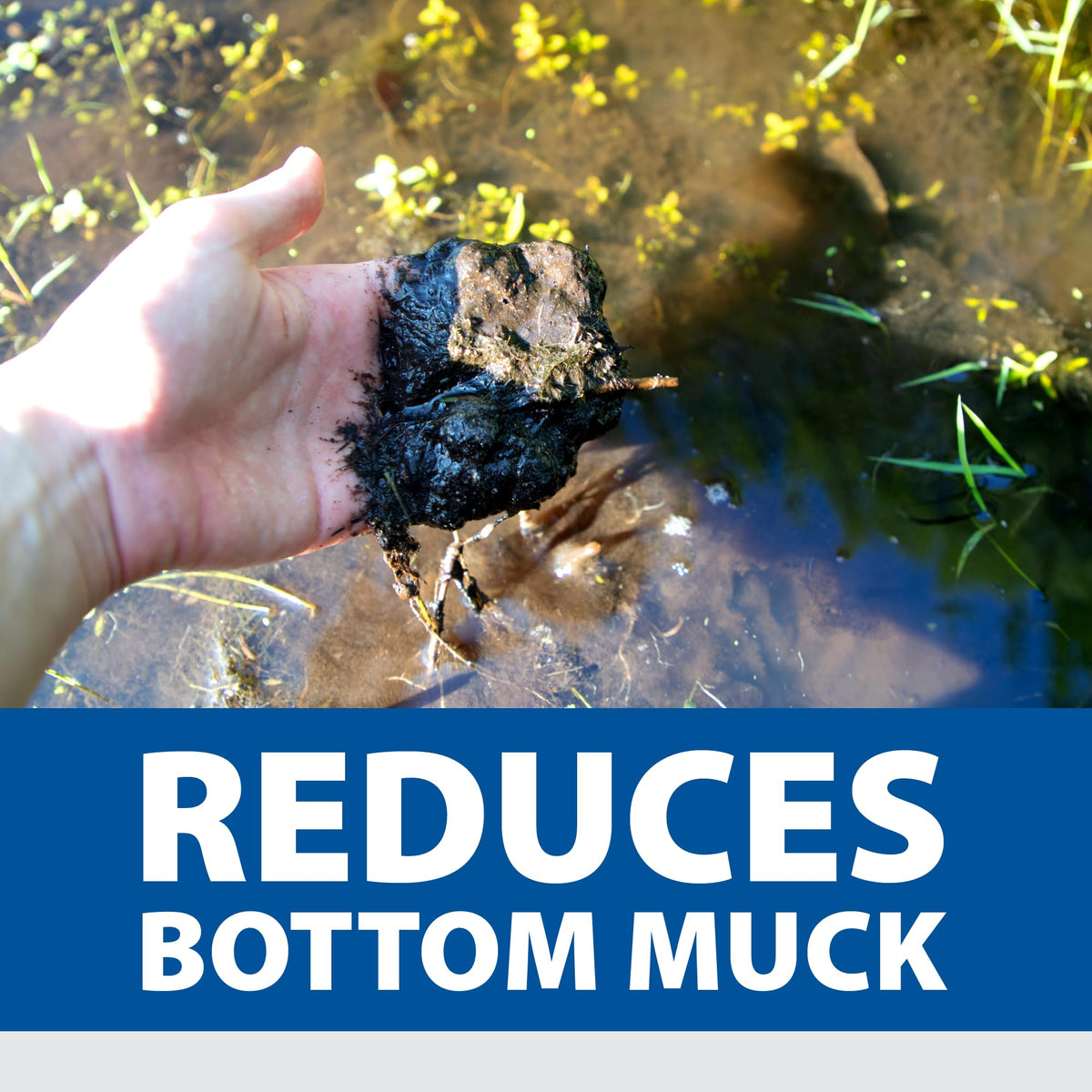 The Pond Guy tablets dissolve easily to feed beneficial bacteria in your pond.