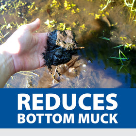 The Pond Guy Muck Defense reduces odors, improving water clarity